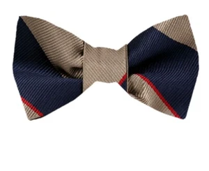 Men's 100% Silk Designer Self Tie Striped Woven Bowtie- NWT - Picture 1 of 3
