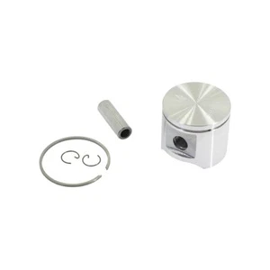 538249709 PISTONE DECESPUGLIATORE Cabrio Plus 407L 437L Partner B407L Ø 41mm - Imagen 1 de 1