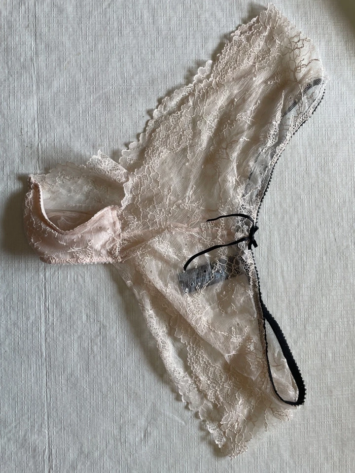 Bragas transparentes con adornos de encaje rosa rubor Elle Macpherson Intimates para mujer Foto 1 de 4