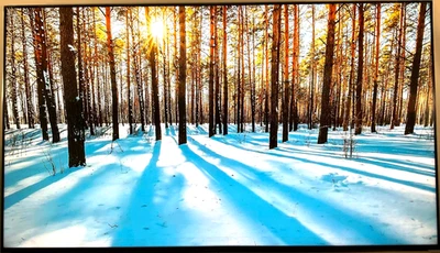 Sony BRAVIA 85 «коммерческий вывески дисплей 4K HDR 60 Гц DLED Android TV FW85EZ20L - Изображение 1 из 4