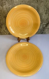 Citrus Grove handbemalt Steinzeug ORANGE SWIRL Speiseteller 2er Set (2)  - Bild 1 von 7