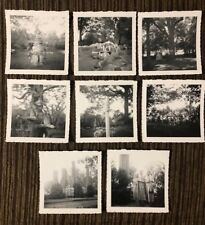 Vintage Lot Photos Carved Tree and Wood in Garden Mena Texas 1950 