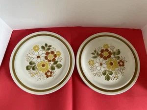 Vintage 1970er Kieselstein Sigma Essteller 10,5 Zoll Blumen Steinzeug Japan 2 Stück - Bild 1 von 7