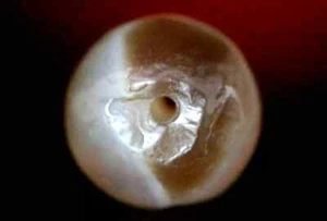 Taxila Gandhara Ágata Dzi Cuentas 12mm Piedra Rayada #L730 Gema Rara - Imagen 1 de 4