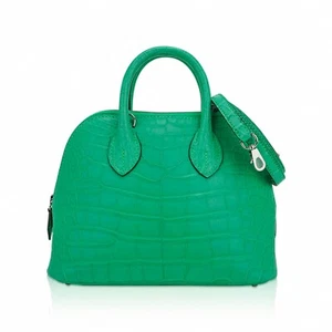 Hermes Bolide 1923 Mini 25 Vert Comics Bag Matte Exotic Gold Hardware - Picture 1 of 8