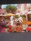 Postcard Vtg Disneyland Ca Flower Mart Main Street Natural Flowers
