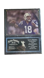 PEYTON MANNING Stats Plaque Beautiful Frame - Picture 1 of 6