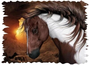 Caballo # 14 - Transferencia de sublimación - Transferencia de calor - Camiseta 8x10 - - Imagen 1 de 1
