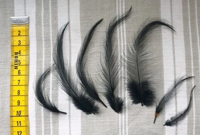 RARE LOT OF BLACK FEATHERS FOR HATS - OLD MILLINER'S STOCK - Image 1 of 4