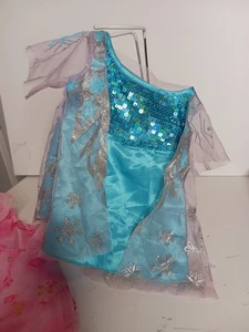 Build-A-Bear Frozen Elsa Vestido Y Rosebud Rosa Vestido Lote De Dos Disney - Imagen 1 de 6