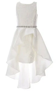 Rare Editions Big Girl's Embroidered Mesh Mikado Asymmetrical Overlay Dress-16 - Picture 1 of 4