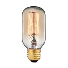 Elk Lighting Vintage Filament Light Bulb - 60 Watt Medium Base 1102