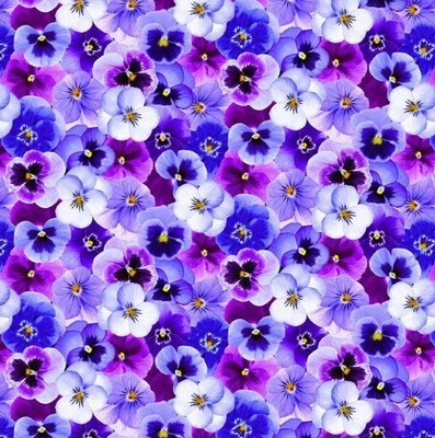 Timeless Treasure Pansy Perfection Packed Flower Cotton Quilt Fabric by the Yard - Image 1 of 4