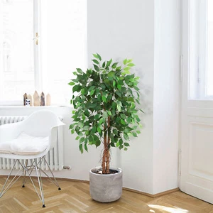 Artificial Ficus Tree with Natural Wood Trunk,Fake Ficus Silk Tree Garden Decor - Picture 1 of 10