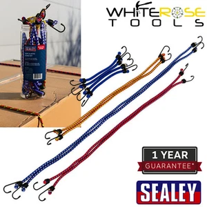 Sealey Gummizug Set 10-teilig Bungee Festbinden Werkstatt Garage Auto - Bild 1 von 4