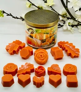 Paquete de 10 parches de cera para calabaza Bath and Body Works fundidos/tartas - Imagen 1 de 2