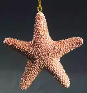 Adornos de animales de resina Slavic Treasures estrellas de mar - sin caja 6447320 - Imagen 1 de 1