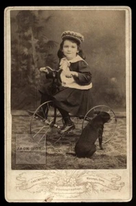Unusual! Boy Riding Tricycle with Little Dog Facing Away From Camera - Old Photo - Picture 1 of 3