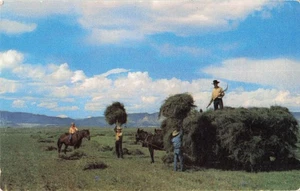 Cowboys Loading Hay - Agriculture / Farming c1970s Postcard - Bild 1 von 2