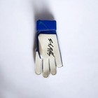 SIGNED Gianluigi Buffon Goalkeeping Glove, Italy, Legend, with COA proof