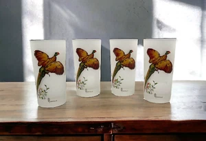 Rainville Set di 4 Highball in vetro smerigliato dipinto a mano fagiano #2 - Foto 1 di 21