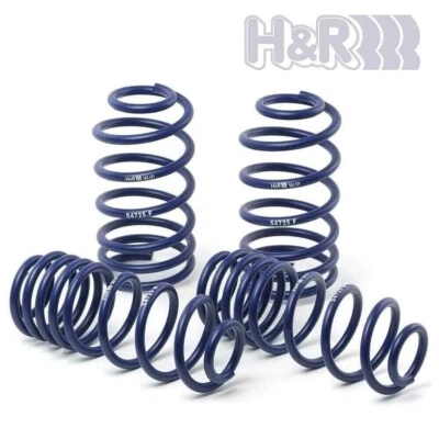 Mola esportiva H&R 28617-1 para 2022+ Volkswagen Golf R MK8 1.0" F 1.0" R - Imagem 1 de 4
