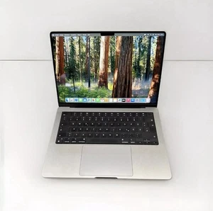 Apple MacBook Pro 14 Zoll (512GB SSD, M1 Pro, 16GB) Laptop - Space Grau -... - Afbeelding 1 van 6