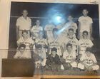 brian piccolo little league team with brass plaque 