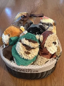 STAR WARS Ewok Celebration Limited Edition Plush Set /Basket - Star Wars 9" NWT - Picture 1 of 4