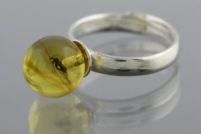 Anillo ajustable grande GNAT genuino ámbar báltico cuentas redondas plata 2,9 g 200416-1 Foto 1 de 4