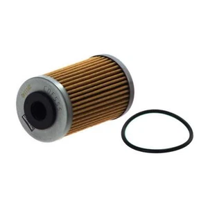PARA HUSABERG HUSQVARNA KTM FILTRO DE ACEITE CHAMPION HF655 COF555 - Imagen 1 de 1