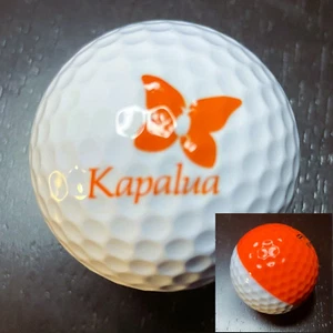 KAPALUA GOLF CLUB RESORT (MAUI) - Logo Golf Ball (NEW) PING EYE 2 - TWO TONE - Picture 1 of 4