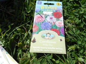 Wildlife Garden Seeds Cornflower Polka Dot Attract wildlife Pink, Red & Purple - Picture 1 of 2