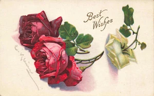 LOVELY A/S C KLEIN GREETING POSTCARD WHITE AND RED ROSES 1918 BEST WISHES 021322 - Picture 1 of 2