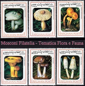 Afghanistan - 1999 - Funghi - serie completa - nuova (MNH) - Picture 1 of 1