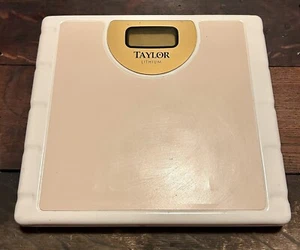 Vintage Like Taylor Lithium Metal 7000 model Scale 10 1/4” x  9 1/2” New Battery - Picture 1 of 5