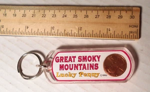 Lucky Penny Great Smokey Mountains Souvenir 1993 llavero de plástico 1992 centavo - Imagen 1 de 5