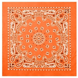 Rothco Trainmen Paisley Bandana | 22" X 22" | Biker | Multifunctional | Cotton - Picture 1 of 16