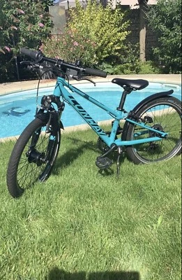 Mountainbike-Kinderfahrrad 20" - Conway MS 200 - 7-Gang-Schaltung - Bild 1 von 4