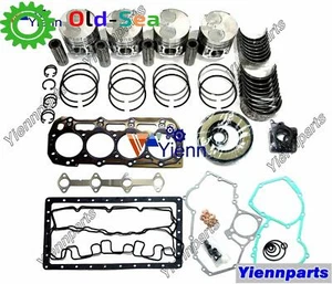 Overhaul Rebuild Kit For New Holland L-565 LS-160 LS-170 LX-565 LX665 Skid Steer - Picture 1 of 4