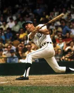 AL KALINE Detroit Tigers 8x10 Fotodruck - Bild 1 von 1