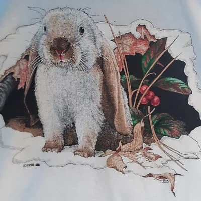 Camiseta vintage 1990 Rick Embry Bunny, estrellas de pantalla L Foto 1 de 4