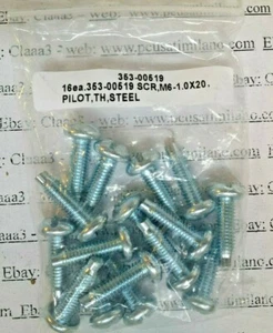 16 rack screws SCREW 353-00519 M6-1.0X20 racks SERVER VITE VITI STEEL PH - Picture 1 of 1