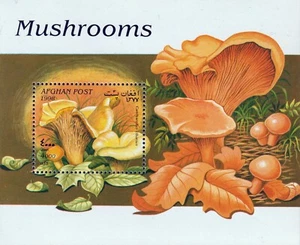 Afghanistan - 1998 - Funghi - BF nuovo (MNH) - Picture 1 of 1