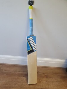 puma evospeed 4 cricket bat