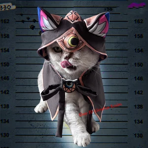 Anime Honkai: Star Rail Cipher Capa Ropa para Mascotas Mantón Cifera Juegos con disfraces Foto utilería - Imagen 1 de 8