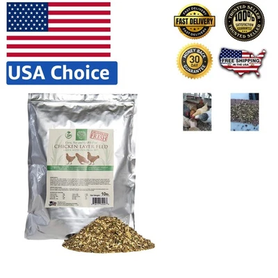 Alimento en capa de pollo alto en proteínas sin OGM, 10 lb - Nutrición completa para gallinas Foto 1 de 4