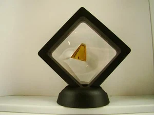 Baltic Amber Fossil with Insect Inside - Specimen in Display Case #A7 - Picture 1 of 5