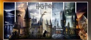 Ben Harman Viaggio Attraverso Hogwarts 3D Lenticolare PLEX 36"x16" Edizione Limitata - Foto 1 di 2