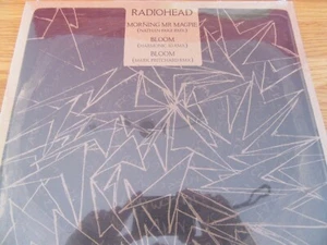 Radiohead Morning Mr Magpie(Nathan Fake RMX) Bloom (Harmonic 313Rmx)12" - Picture 1 of 6